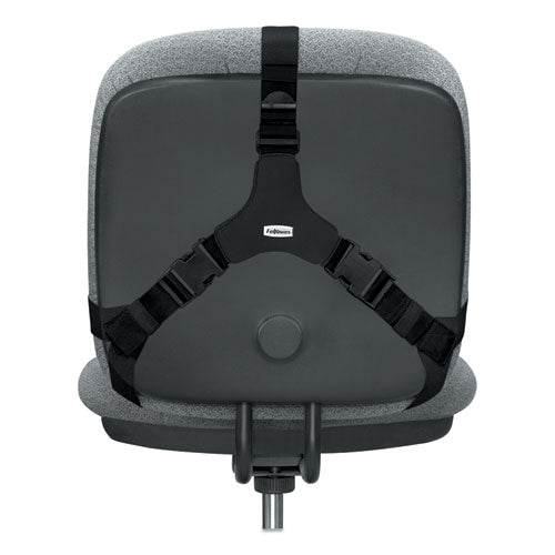 Professional Series Back Support With Microban Protection, 15 X 2 X 14.5, Black