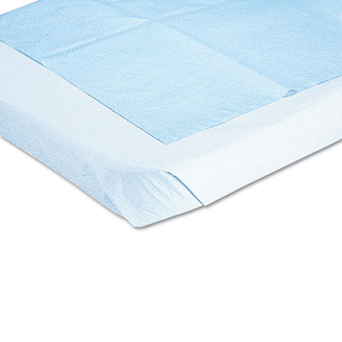 Disposable Drape Sheets, 40 X 48, White, 100/carton