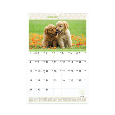 Puppies Monthly Wall Calendar, Puppies Photography, 15.5 X 22.75, White/multicolor Sheets, 12-month (jan To Dec): 2023