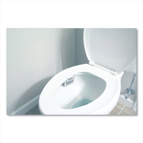 Non-para Toilet Bowl Block, Lasts 30 Days, Evergreen Scent, White, 12/box
