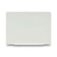 Magnetic Glass Dry Erase Board, 60 X 48, Opaque White Surface