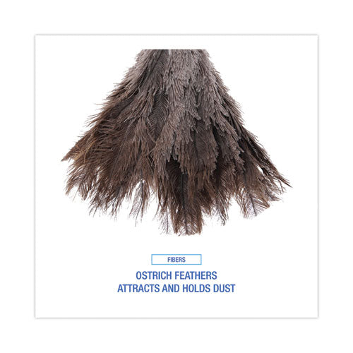 Professional Ostrich Feather Duster, Gray, 14" Length, 6" Handle