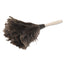 Professional Ostrich Feather Duster, 10" Handle