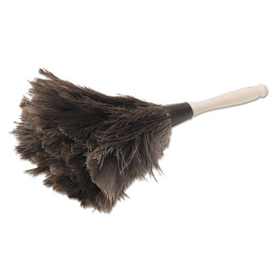 Professional Ostrich Feather Duster, 10" Handle