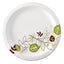 Pathways Soak-proof Shield Mediumweight Paper Plates, Wisesize, 8.5" Dia, Green/burgundy, 125/pack