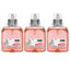 Fmx-12 Foam Hand Wash, Fmx-12 Dispenser, Fresh Fruit, 1,250 Ml Pump