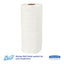 Kitchen Roll Towels, 11 X 8.75, White, 128/roll, 20 Rolls/carton