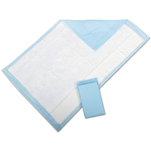 Protection Plus Disposable Underpads, 23" X 36", Blue, 25/bag