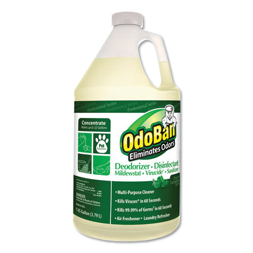Concentrated Odor Eliminator And Disinfectant, Eucalyptus, 1 Gal Bottle