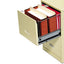 File Cabinet Pockets, 3.5" Expansion, Letter Size, Redrope, 10/box