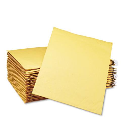 Jiffy Padded Mailer, #6, Paper Padding, Self-Adhesive Closure, 12.5 x 19, Natural Kraft, 25/Carton