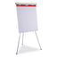 Self-stick Easel Pad, Unruled, 25 X 30, White, 30 Sheets, 2/carton