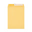 Peel Seal Strip Catalog Envelope, #10 1/2, Square Flap, Self-adhesive Closure, 9 X 12, Natural Kraft, 100/box