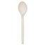 Plant Starch Spoon - 7", 50/pack, 20 Pack/carton